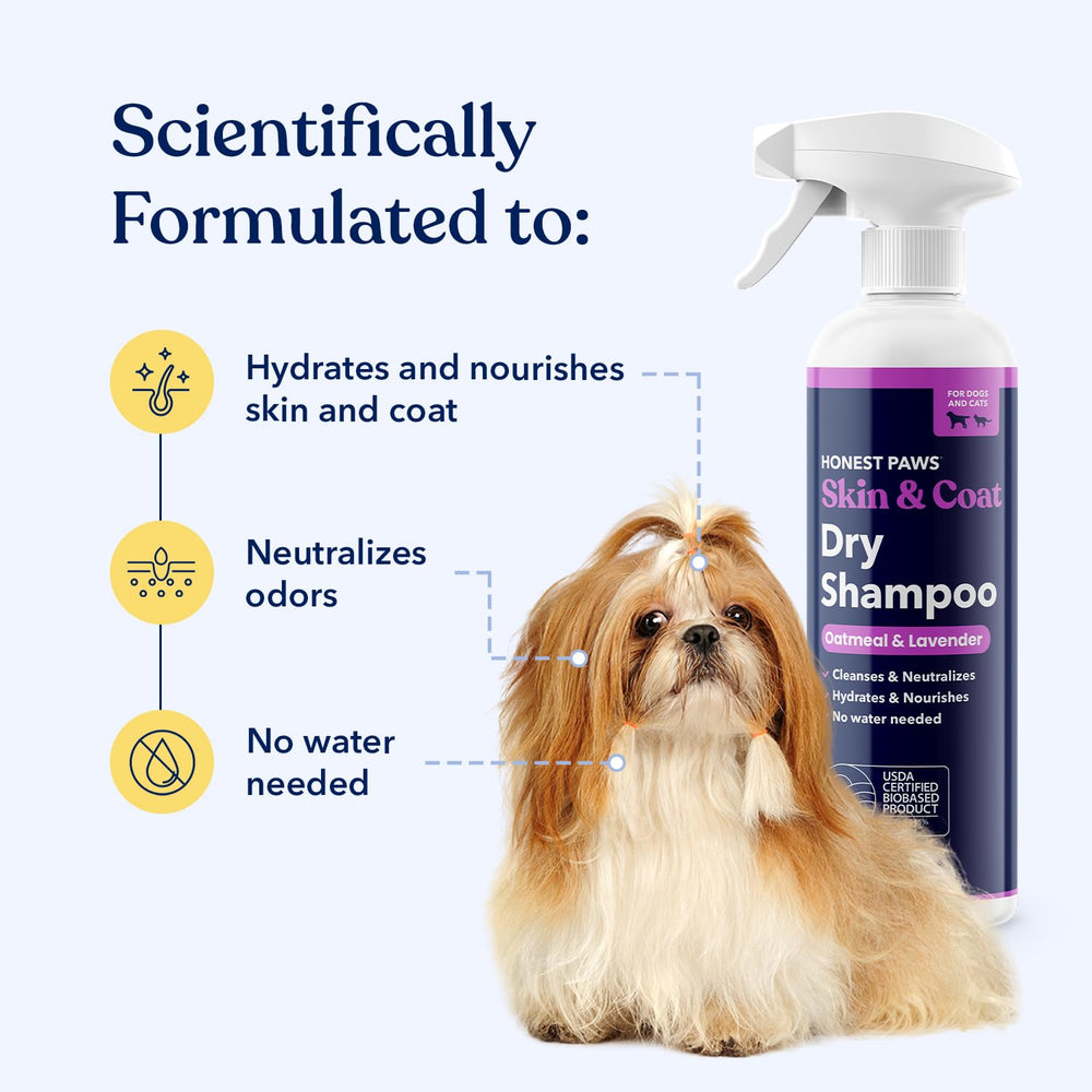 Honest Paws dog dry shampoo spray application demonstrates waterless cleansing