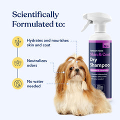 Honest Paws dog dry shampoo spray application demonstrates waterless cleansing