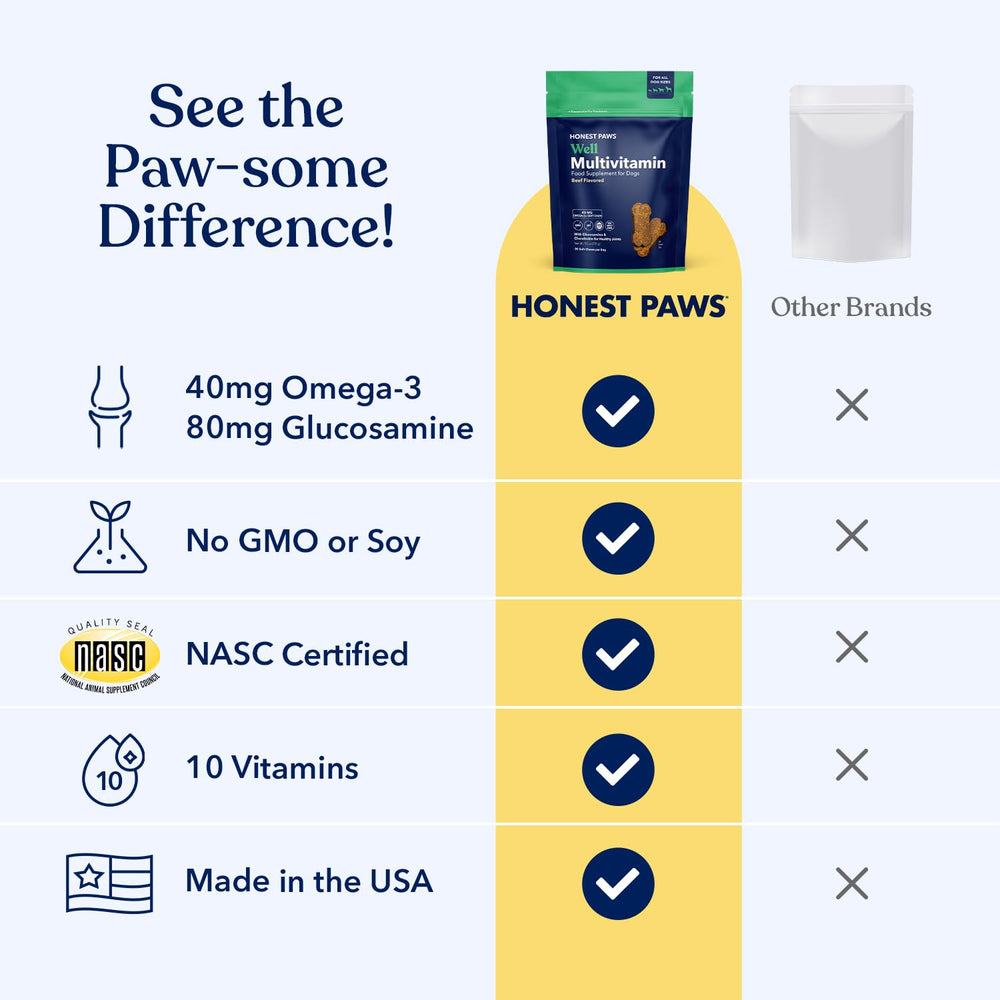 Honest Paws 90-count packaging image shows full bottle for long-term daily use