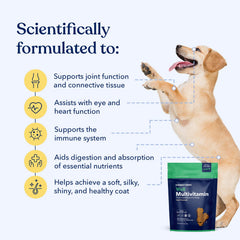 Honest Paws soft chews beef flavor texture closeup highlights tasty daily treat