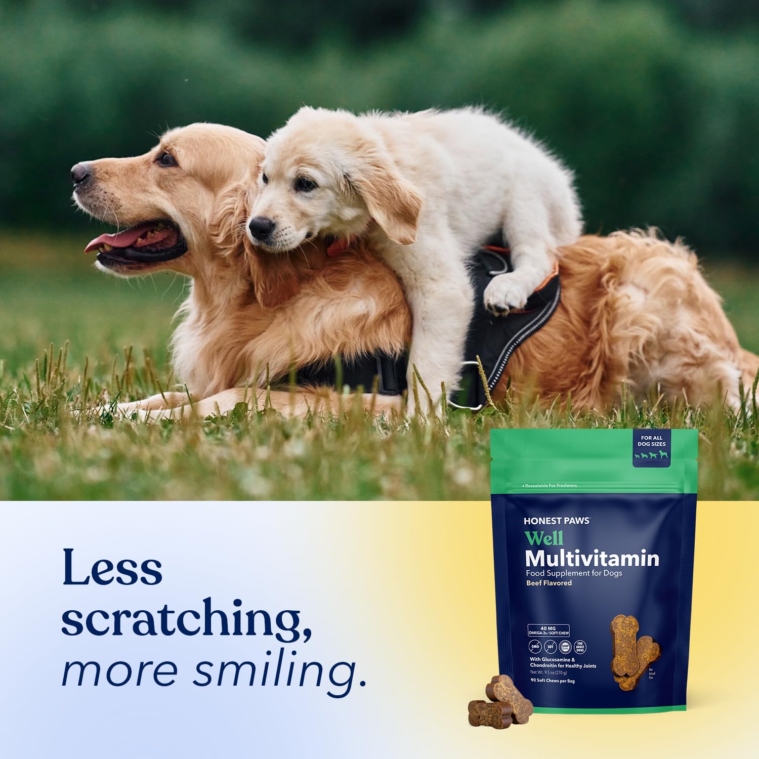 Honest Paws coat-shine image showcases healthier-looking fur with regular use