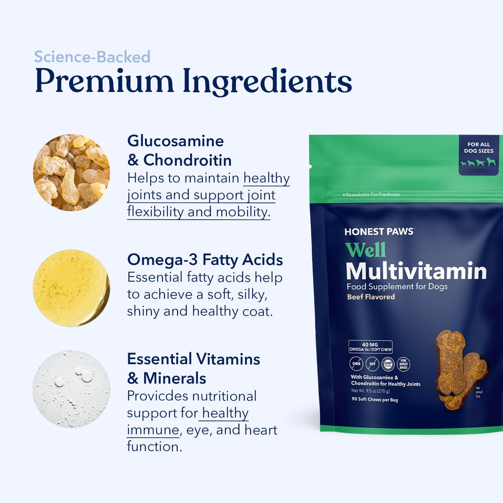 Honest Paws glucosamine-chondroitin ingredients visual emphasizes joint support and connective tissue health