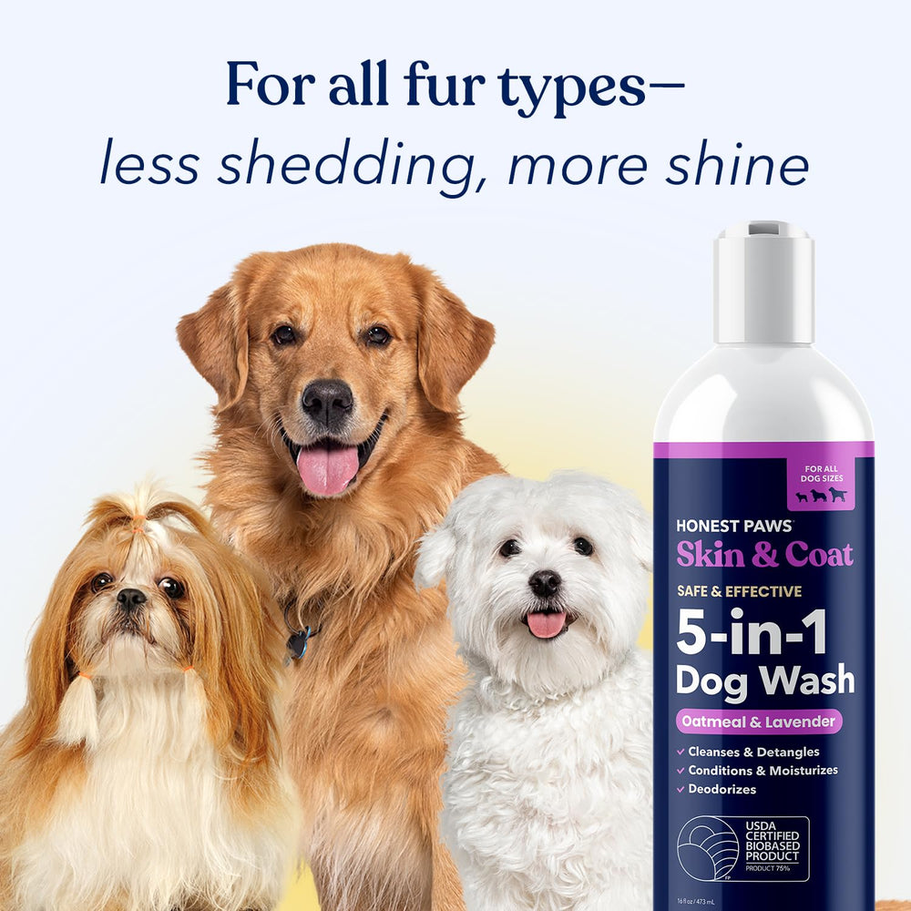 Honest Paws dog shampoo oatmeal lavender scent for a calm bath experience
