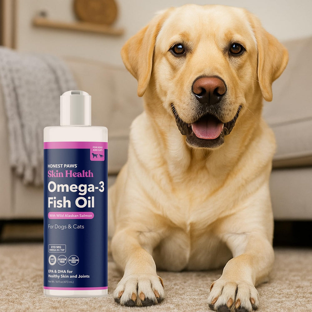 Honest Paws Heart health motif with salmon oil bottle
