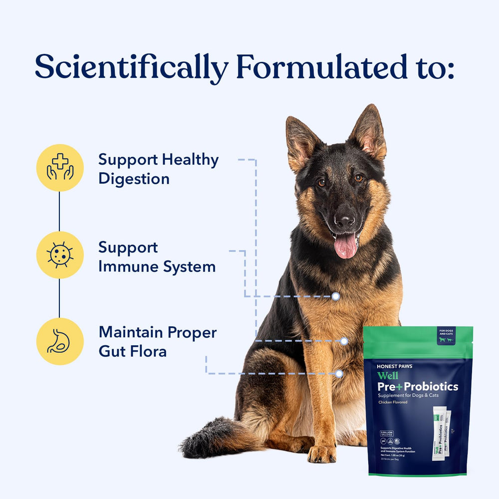 Honest Paws Probiotics chicken-flavor powder boosts palatability while supporting gut balance.