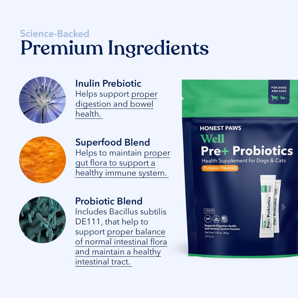 Honest Paws bottle highlights gut health illustration and product purpose.