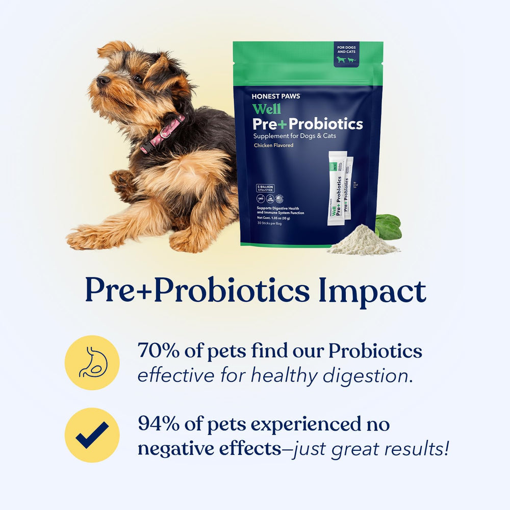 Honest Paws immune-support visual hints at holistic benefits for dogs.