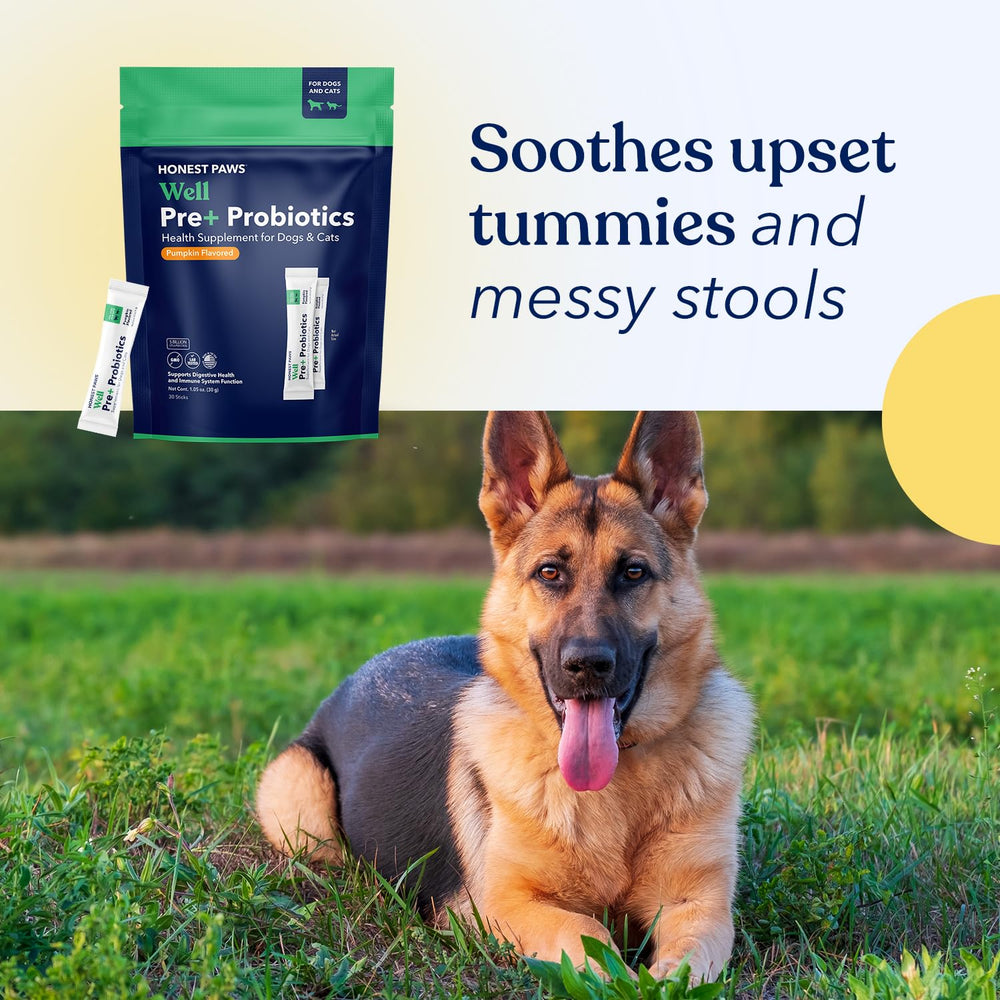 Honest Paws soy-free pack showcases allergen-free formulation for dogs.