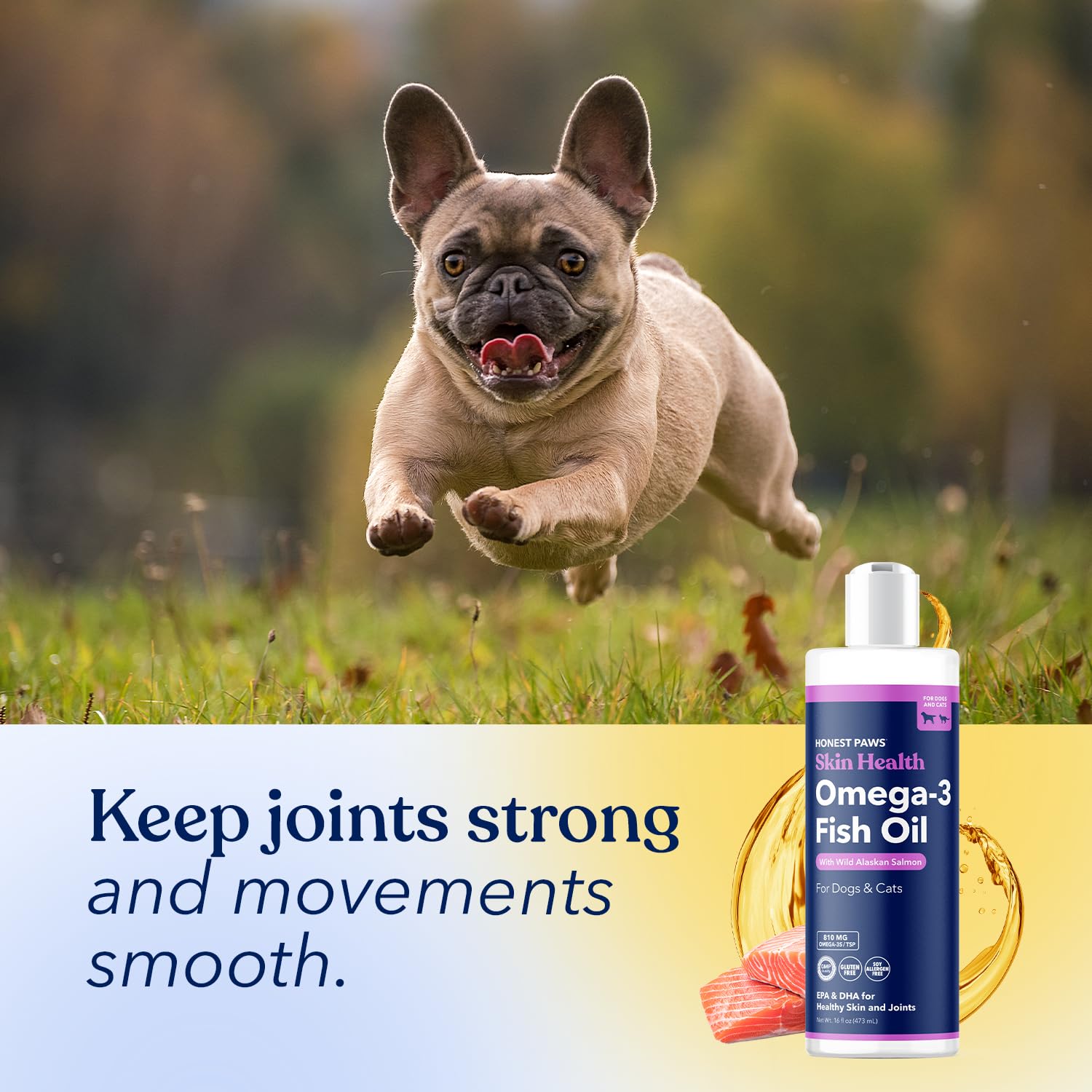 Honest Paws Salmon Oil coat shine demonstrates healthier fur texture