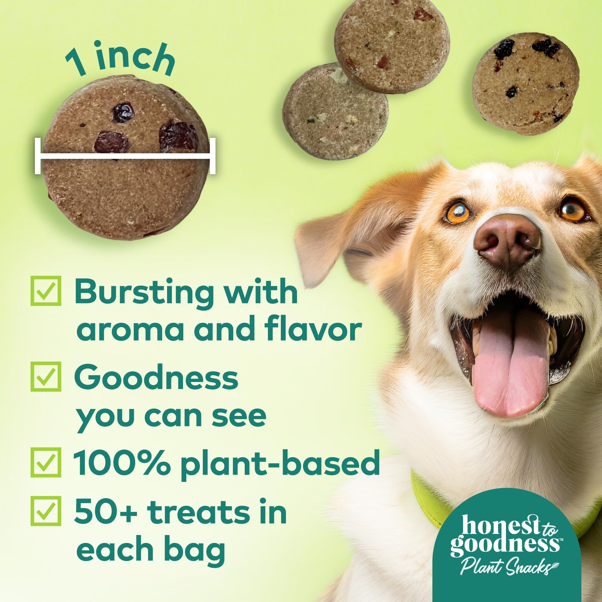 Honest to Goodness omega-3s postbiotics illustration highlights added nutrients for a healthy coat.