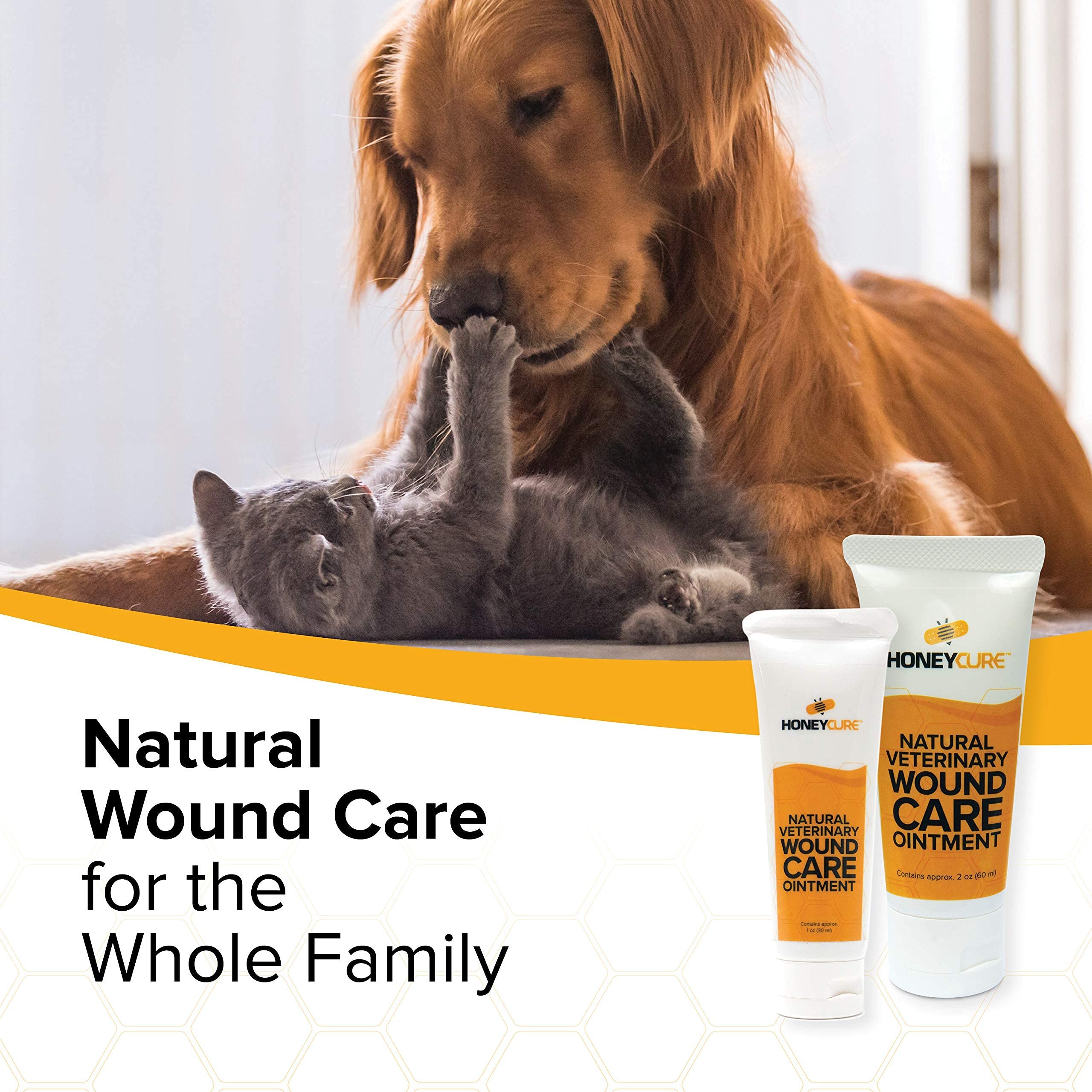HoneyCure on cat hot spot facilitates irritation relief.
