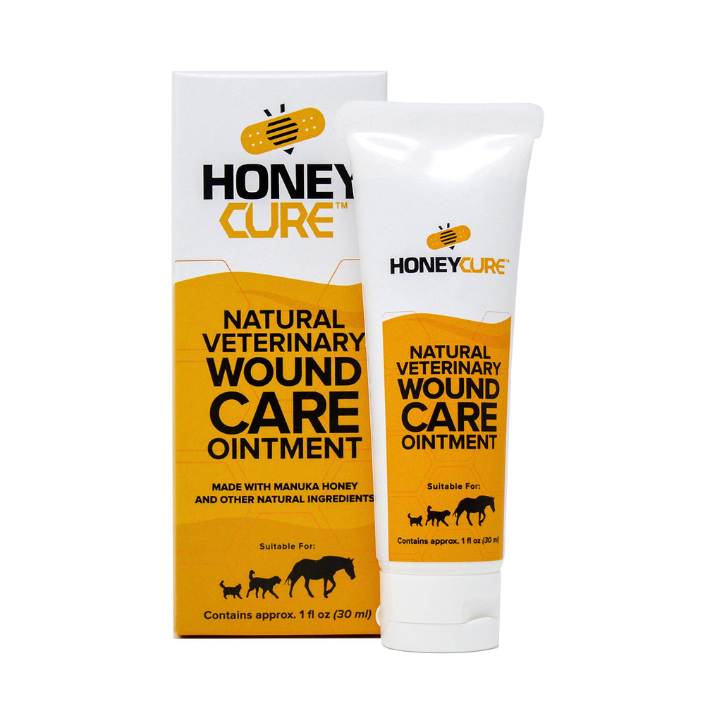HoneyCure wound ointment tube ready for pet wound care application.