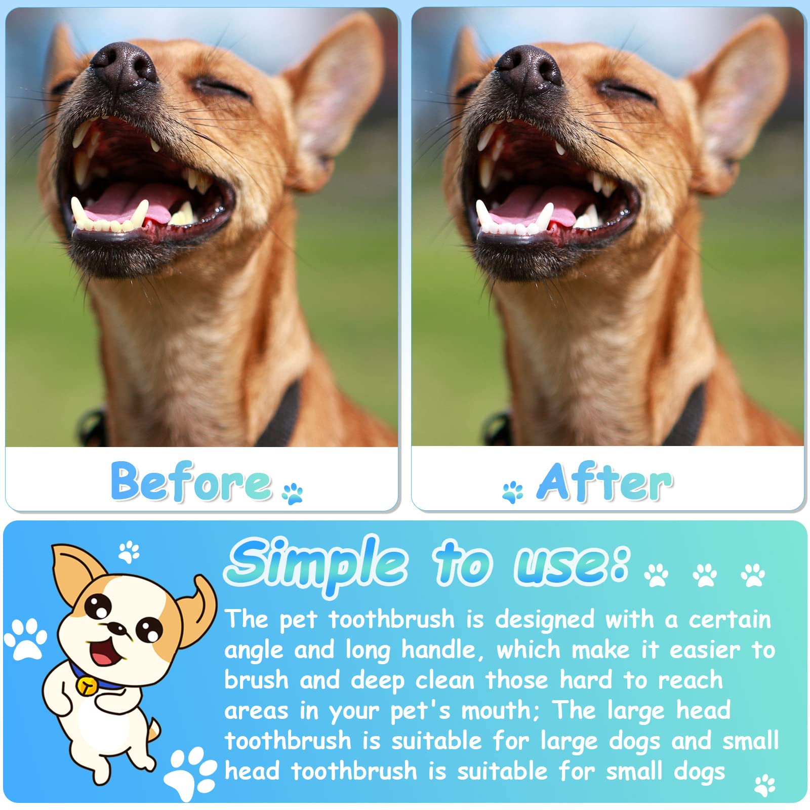 Honeydak 80-pcs dog toothbrush set supports regular replacement and sharing.