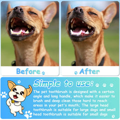 Honeydak 80-pcs dog toothbrush set supports regular replacement and sharing.
