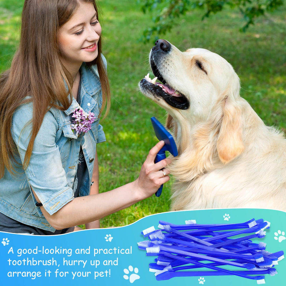 Honeydak cat-toothbrush compatible with multiple pets for comfortable brushing.