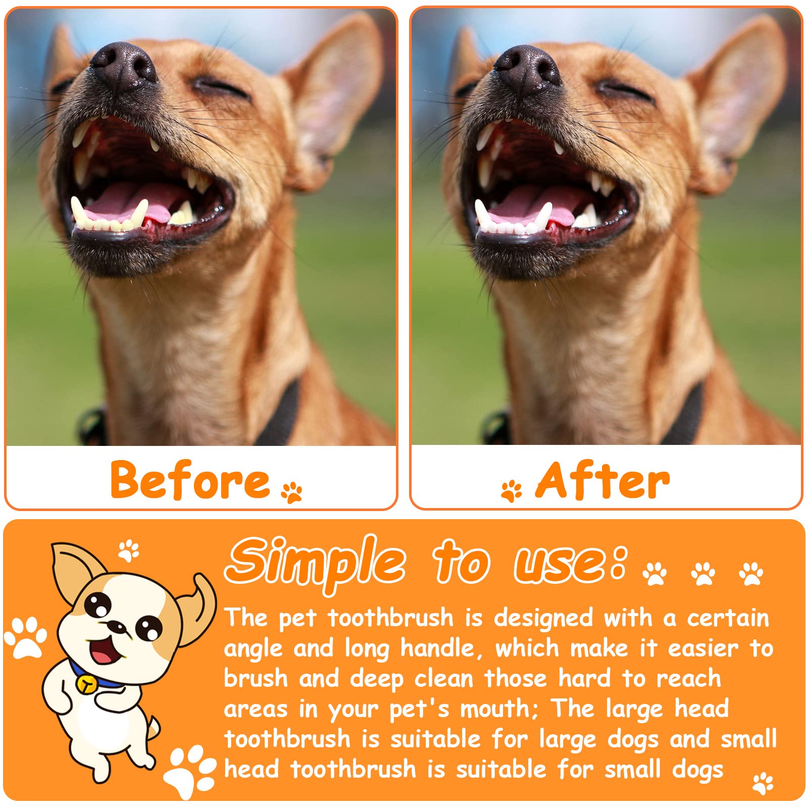 Honeydak colorful brushes help color-code routines for multiple pets.