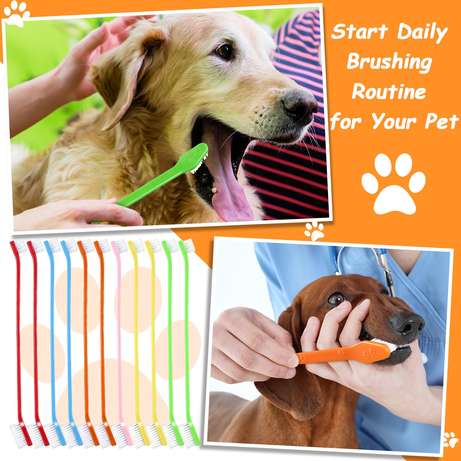 Honeydak color-variety set makes daily dental care a colorful habit for pets.