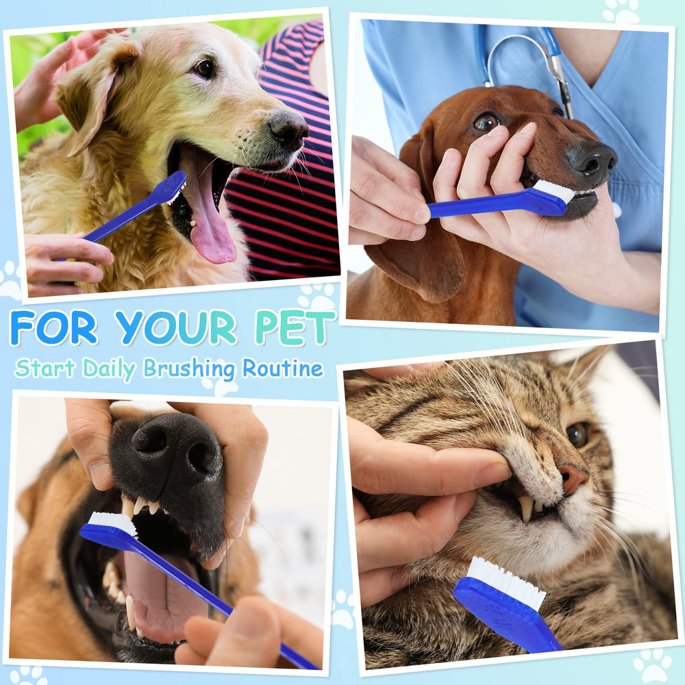 Honeydak dark blue toothbrush blends with pet care essentials and is easy to spot.