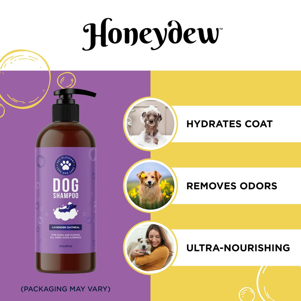 Honeydew dog shampoo foamy lather close-up highlights oatmeal cleansing