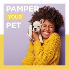 Honeydew dog shampoo ingredients list emphasizes colloidal oatmeal and lavender