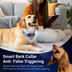 Honeynet bark collar charging in 2 hours supports ready-to-train sessions