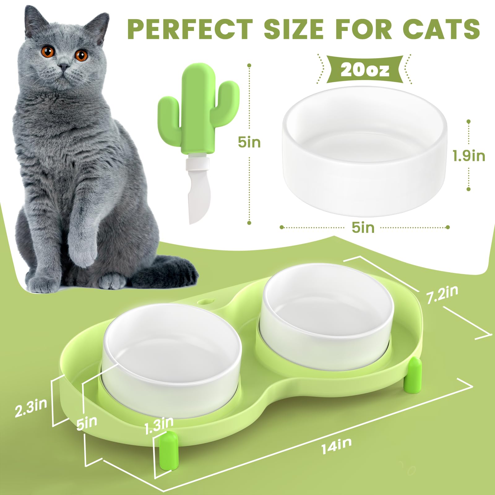 Hongddy gift-ready cat bowl combines style and practicality