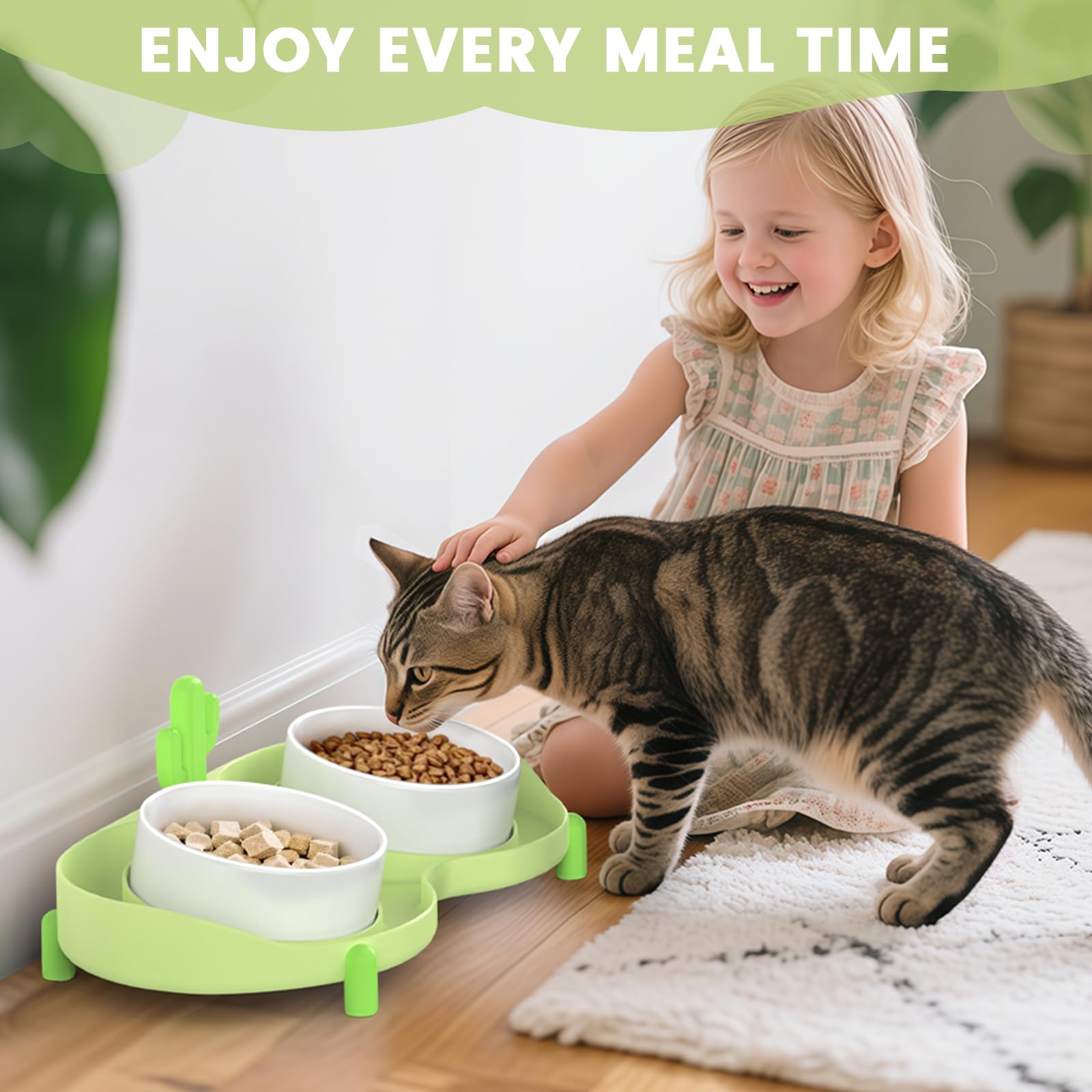 Hongddy secure-packaged cat bowl set arrives intact