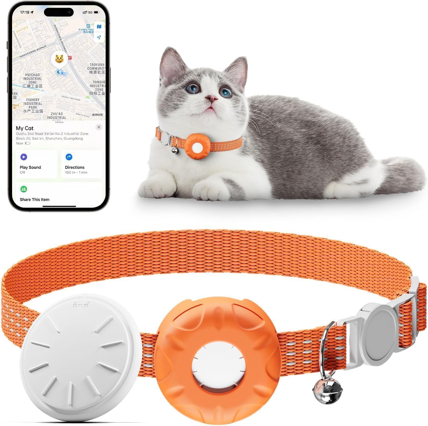 HongTop H cat tracker on orange collar buckle helps you keep tabs during outdoor adventures.