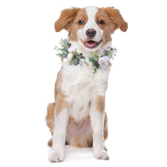 Honoson dog wedding flower collar closeup showing delicate petals