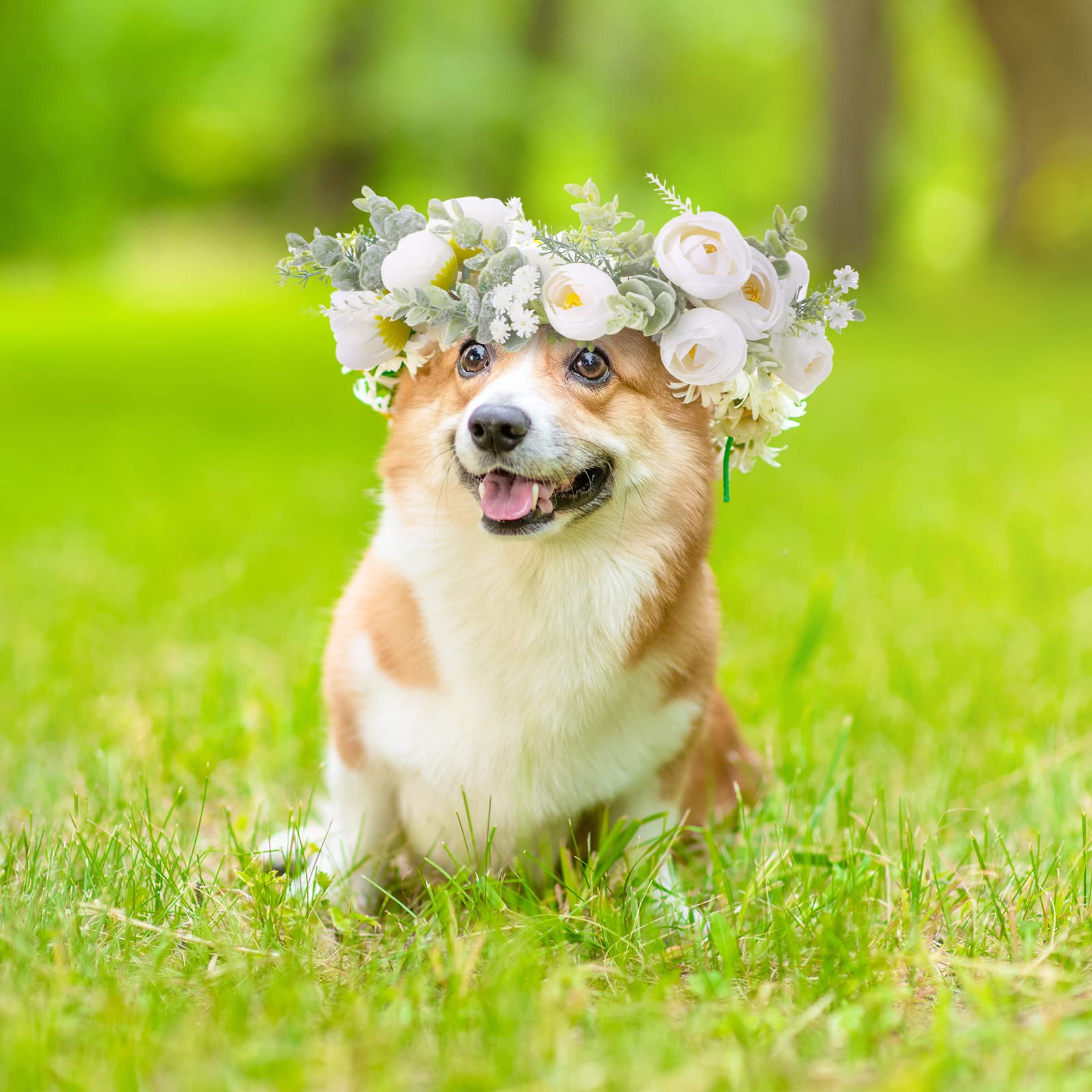 Honoson packaging for flower collar highlighting gift-ready presentation