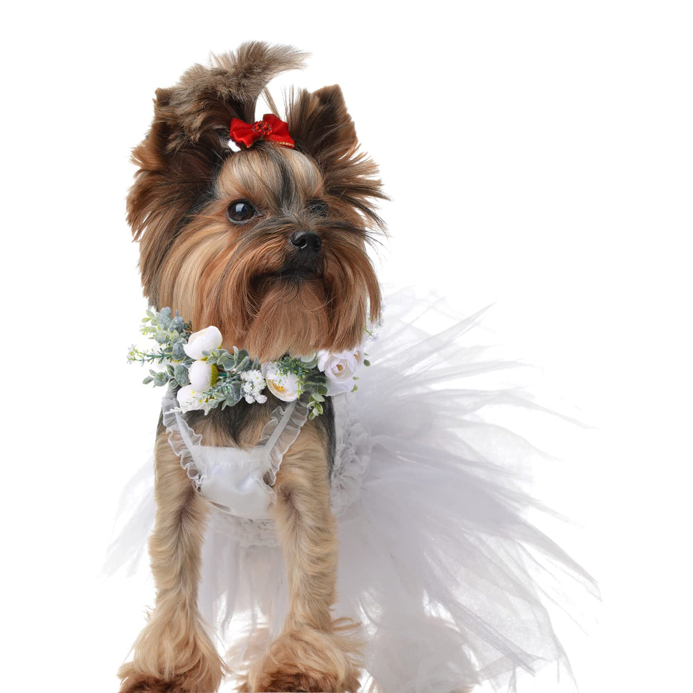 Honoson wedding setup featuring floral collar on cute pet