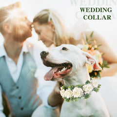 Honoson pet photo prop flowers ring elevates dog portraits with natural-looking petals.