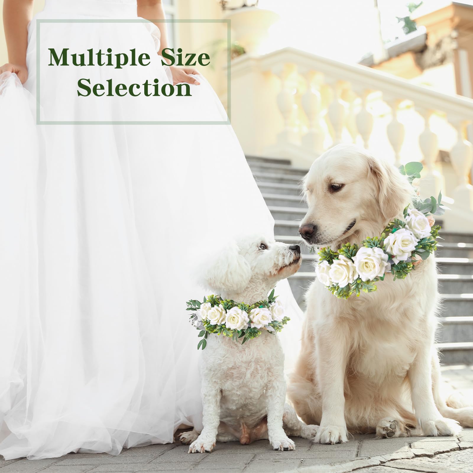 Honoson wedding-accessory for dogs shines in ceremonies and anniversaries.