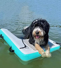 HONYTA dog water ramp anti-slip EVA pad enhances grip
