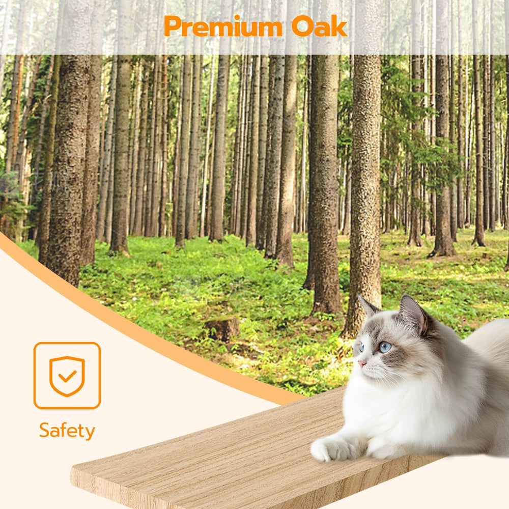 HOOBRO cat house provides private retreat and playful hideaway for cats