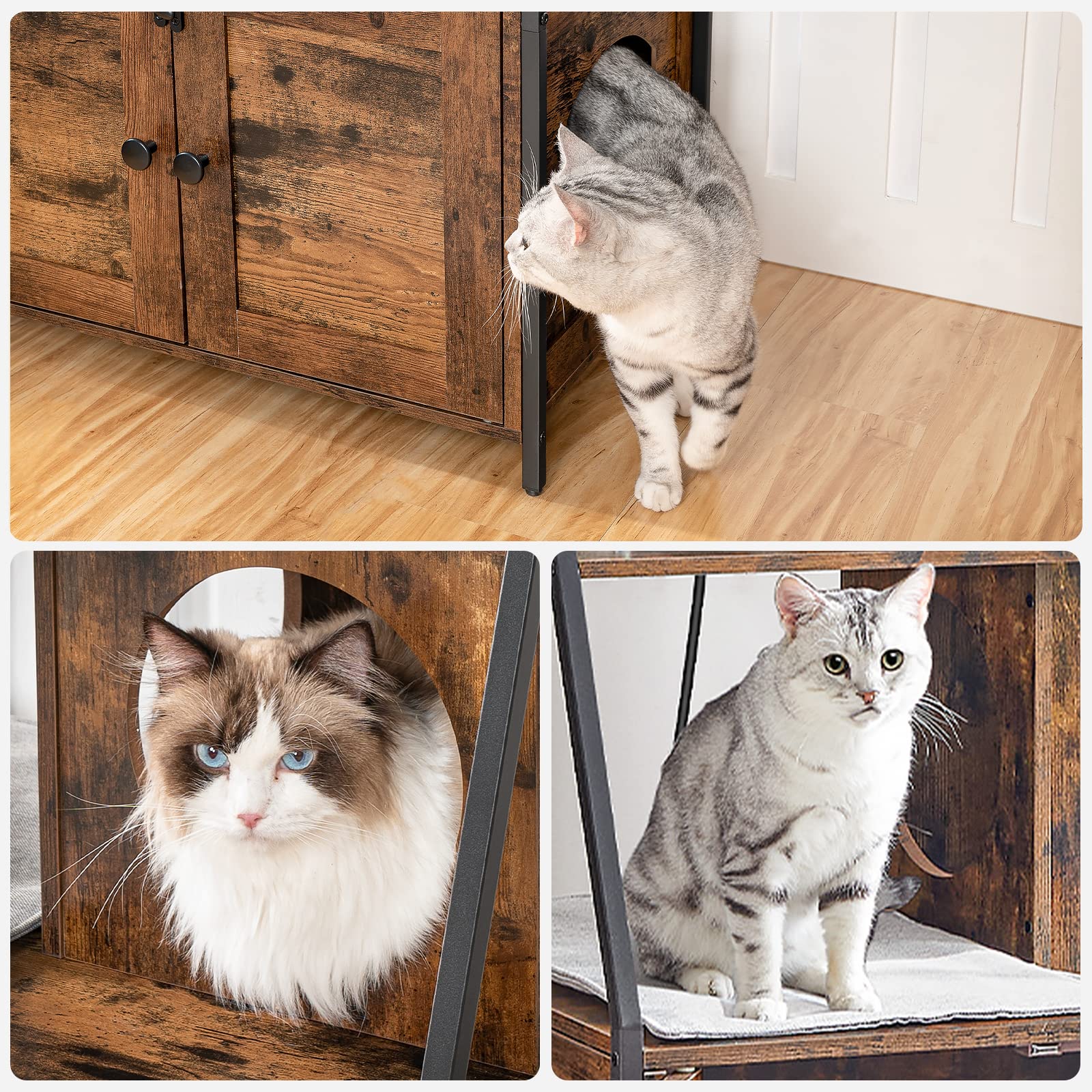 HOOBRO plush mat inside the enclosure creates a cozy resting spot for cats.