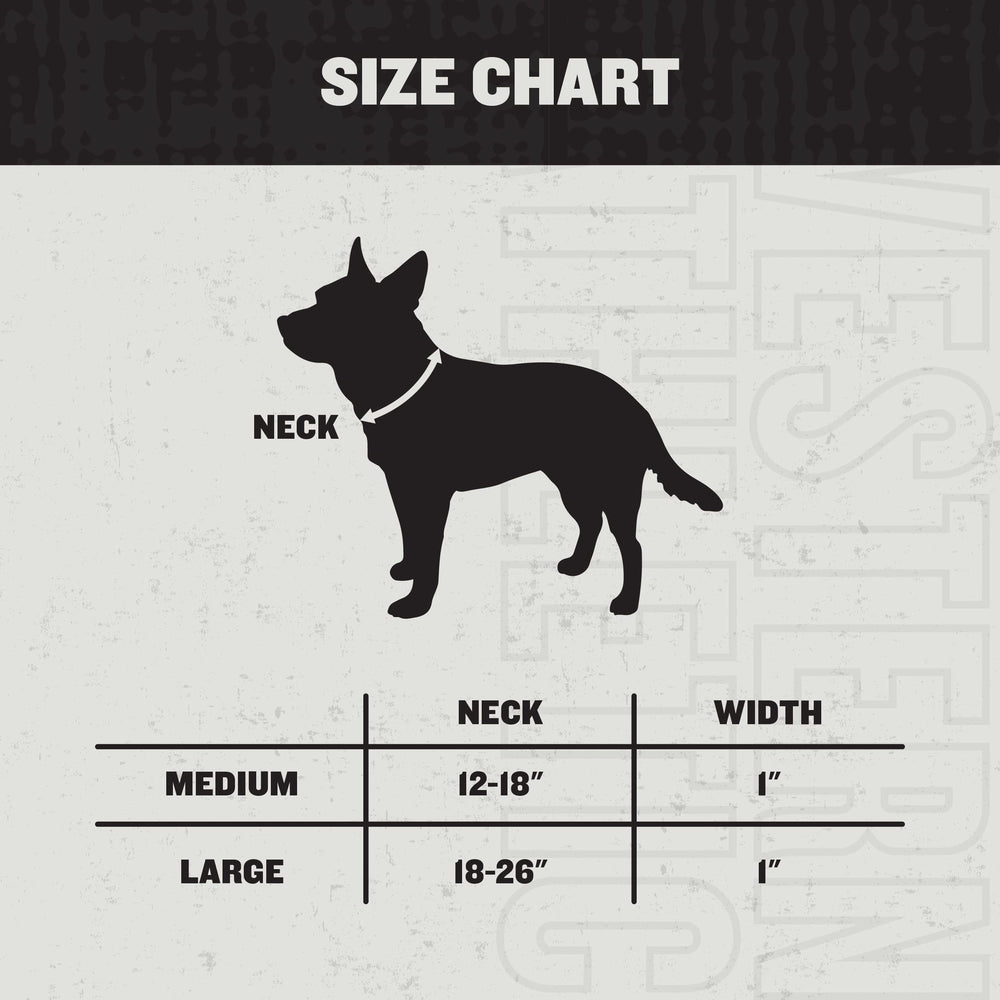 HOOEY Nomad collar size range fits medium to large dogs for flexible sizing