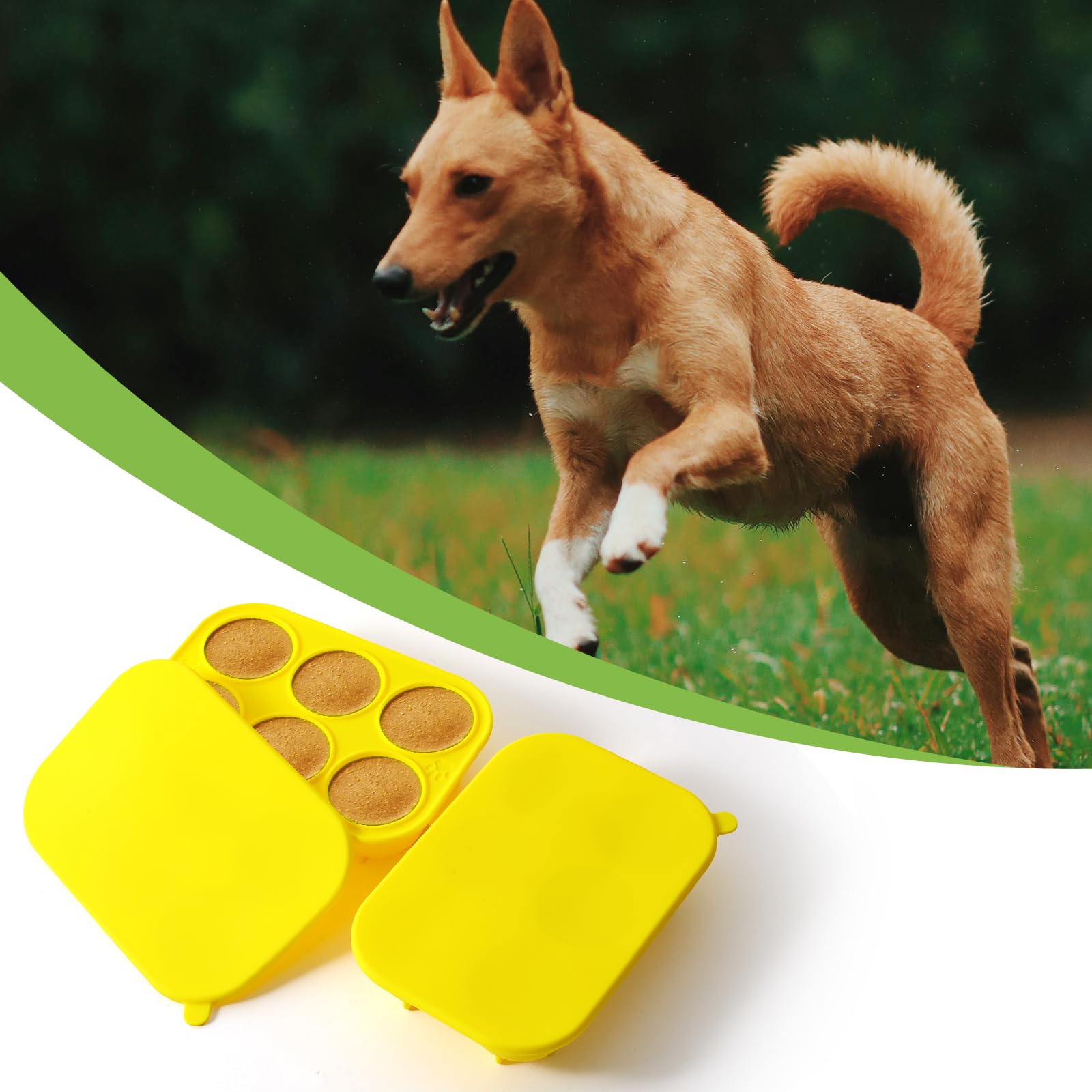 HooYiYuuX versatile molds for freezing or baking snacks