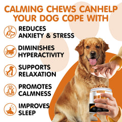 Hoozzch Calming Chews chicken-flavor close-up showcasing tasty calm support.