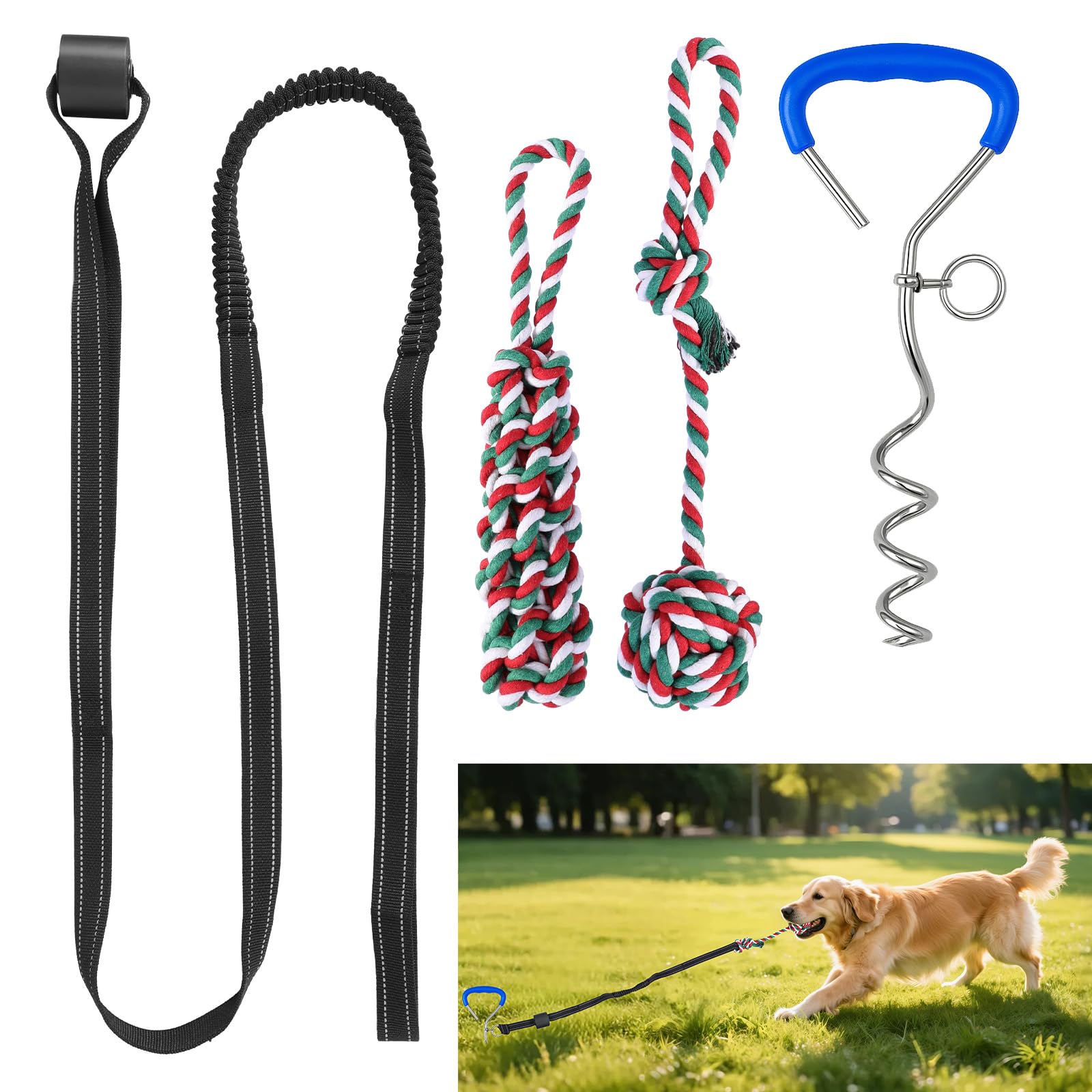 HOPET bungee-tug stake-lawn setup for active dogs