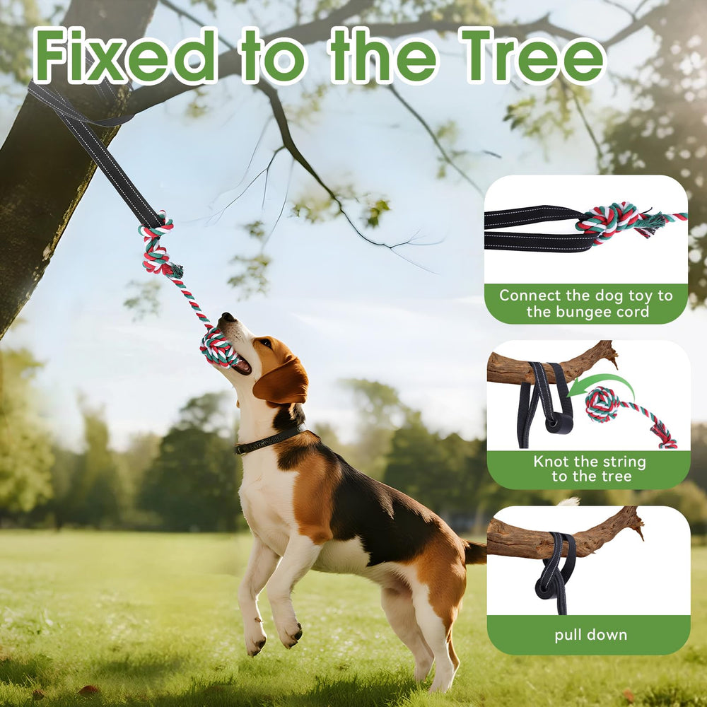 HOPET dog-tug-tree-hanging setup for versatile outdoor fun