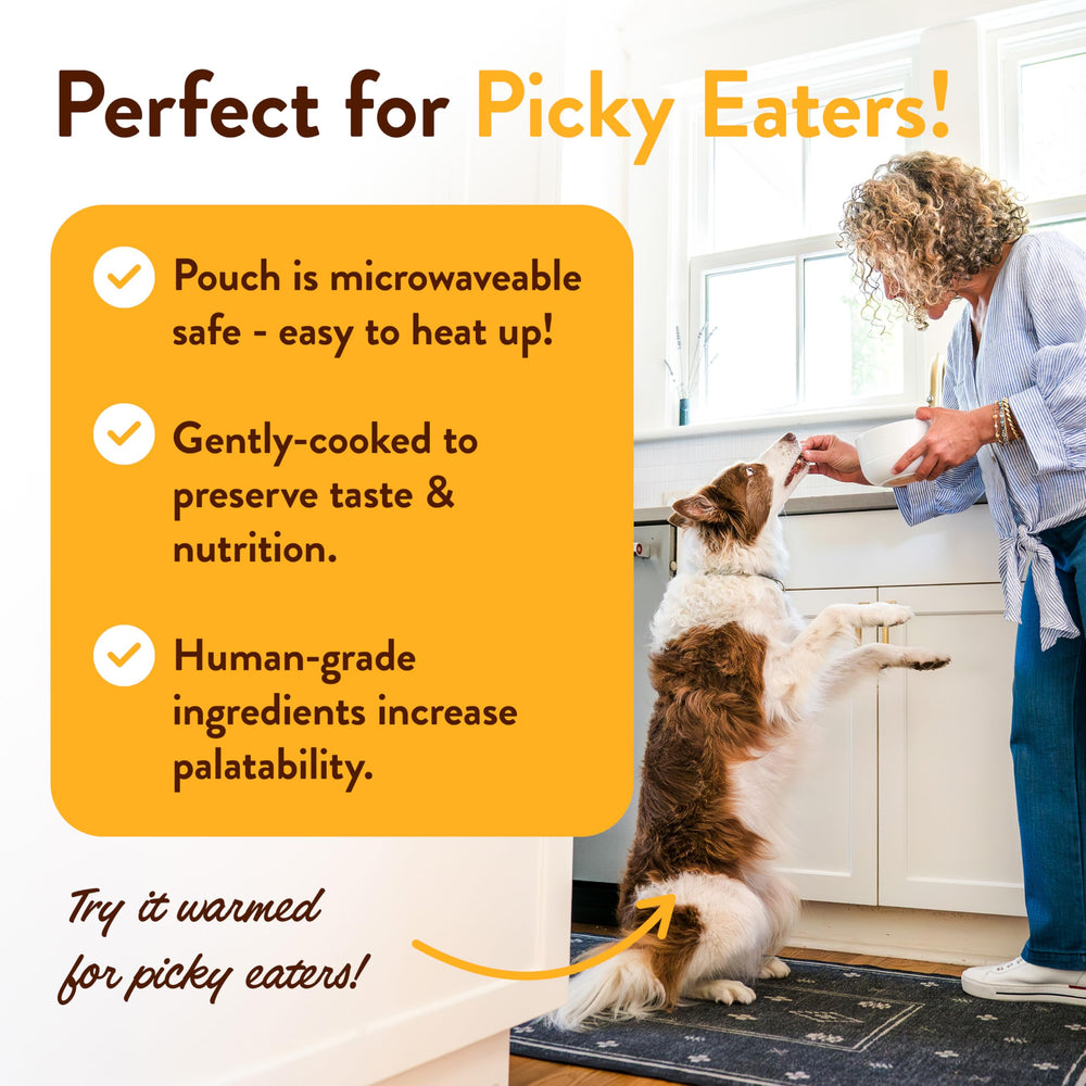 Hopkin's Pork N’ Potato serves as a mixer with dry food for added flavor.