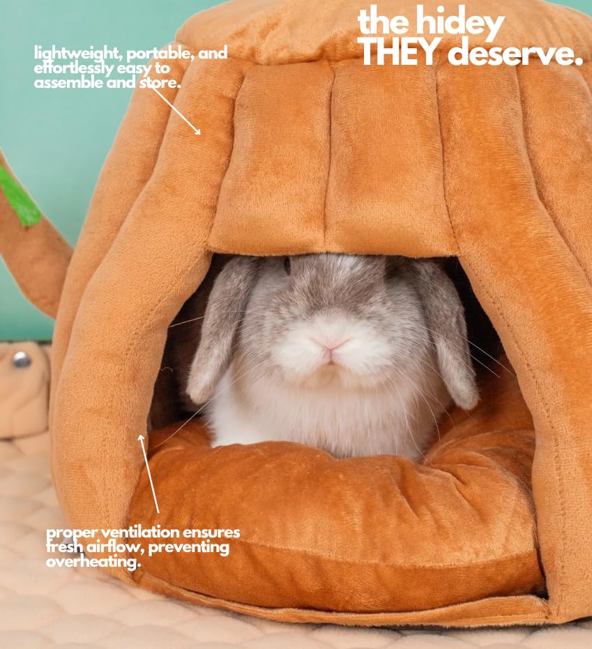 Hopp'd all-small-pets setup demonstrates versatile use for rabbits, guinea pigs, and more.
