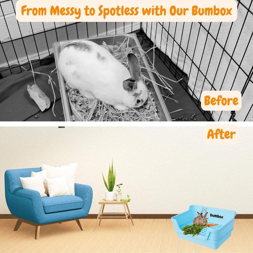 HoppScotch.bun Bumbox adjustable cage attachments secure position inside cage