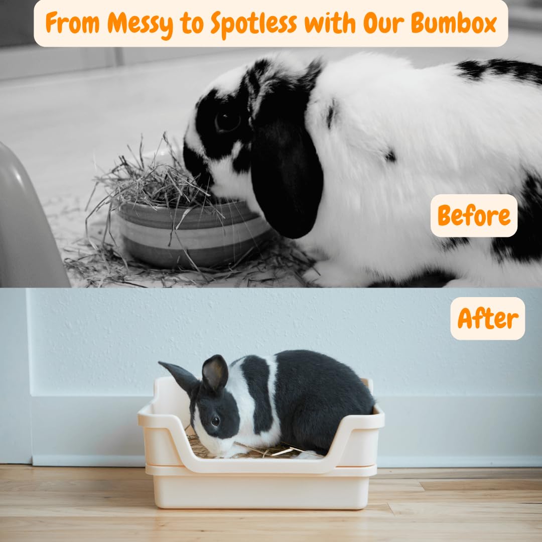 HoppScotch.bun Bumbox indoors/outdoors versatility for various habitats
