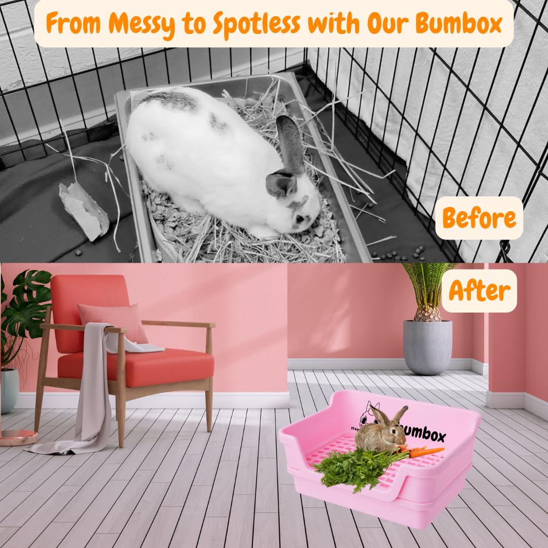 HoppScotch.bun Bumbox pink adjustable cage attachments prevent flip-overs