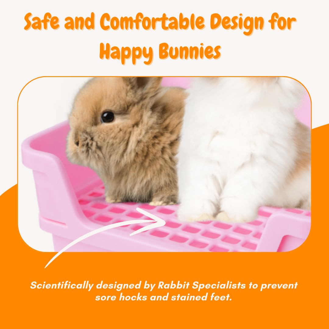 HoppScotch.bun Bumbox pink low-entry with smooth edges for easy access