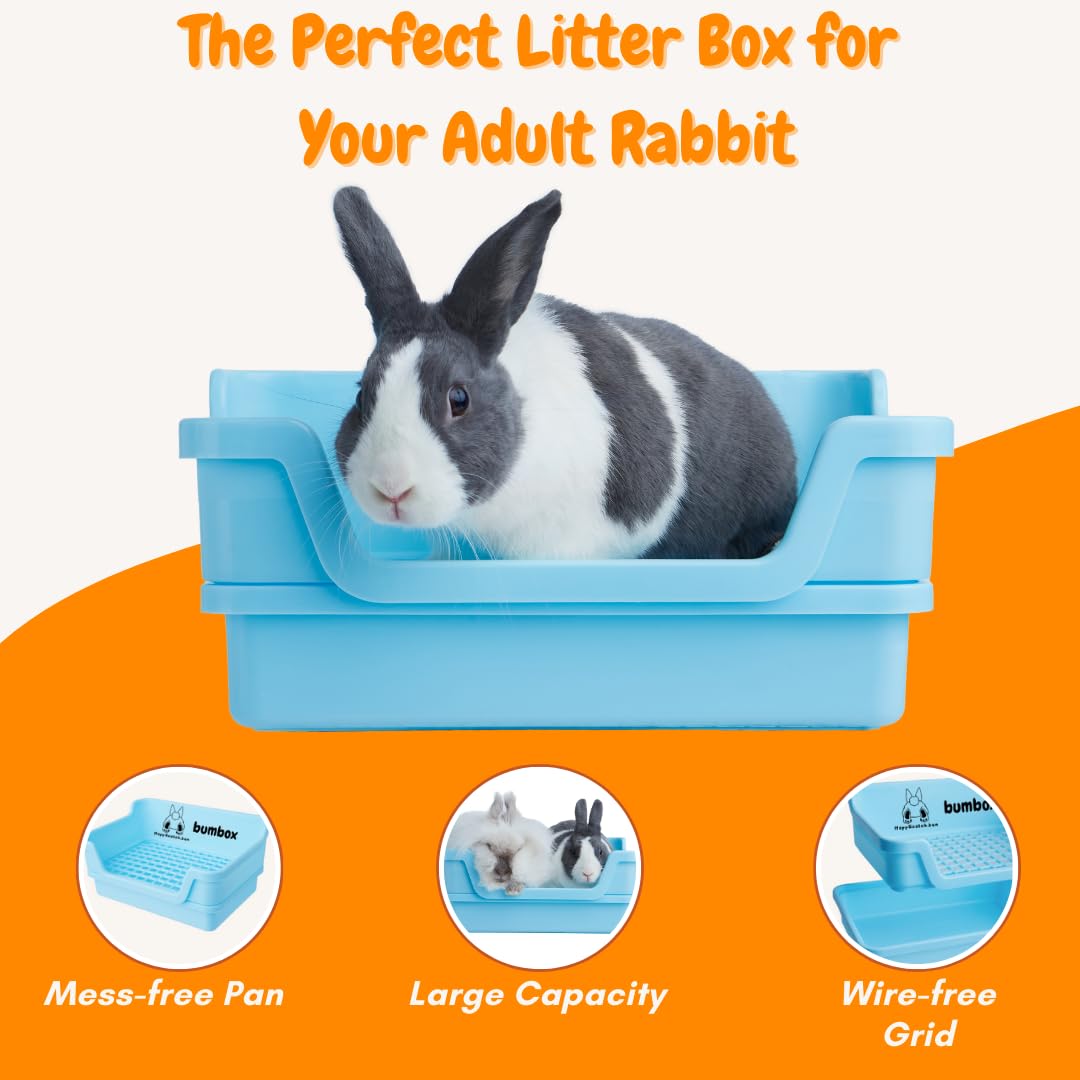 HoppScotch.bun Bumbox plastic grid close-up showing soft grid prevents sticking