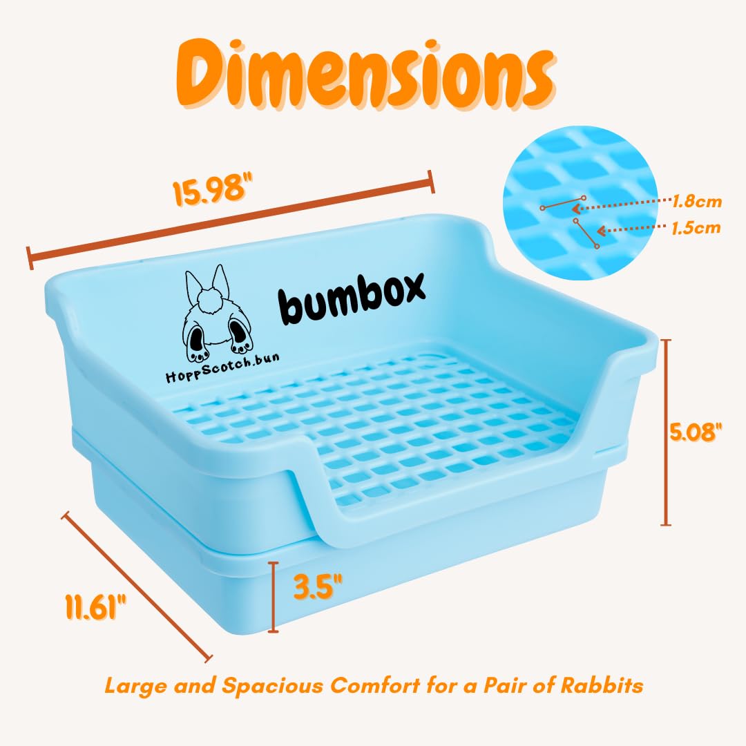 HoppScotch.bun Bumbox blue training cage indoor/outdoor versatility