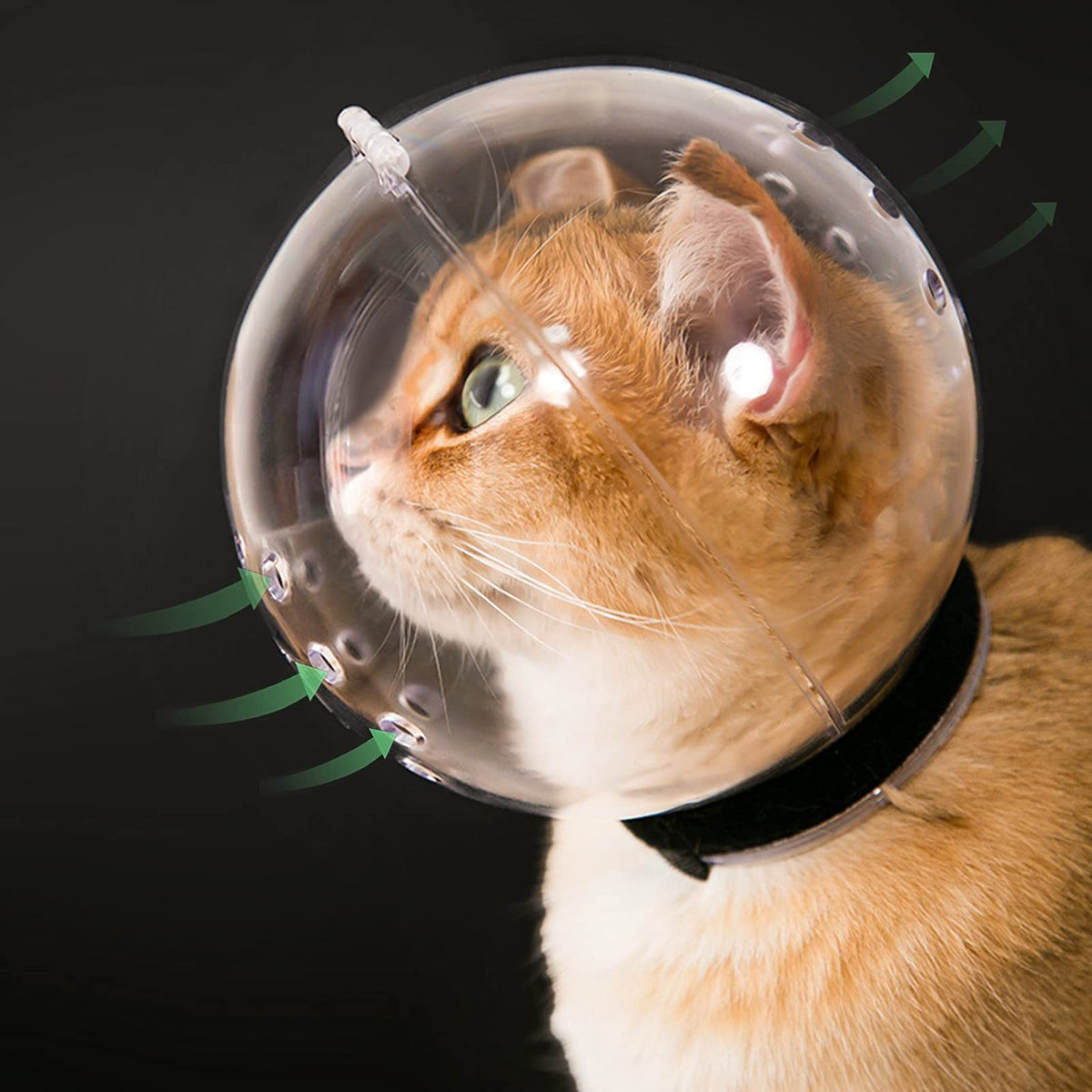 Hoqqf cat helmet transparent view enables calm grooming through clear visibility